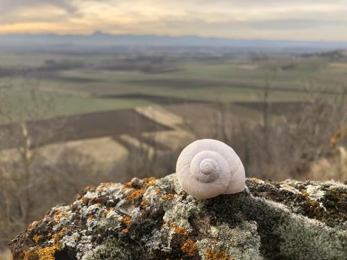 Tour de Courcourt [12-02-2022](IMG_4295).jpg